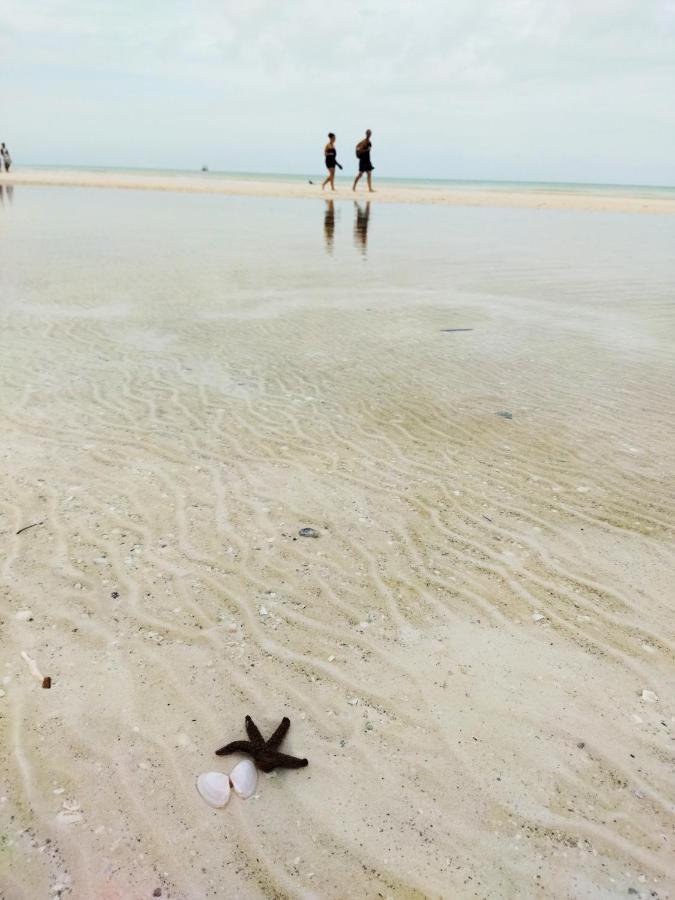 Hotelito Crismi Isla Holbox ภายนอก รูปภาพ