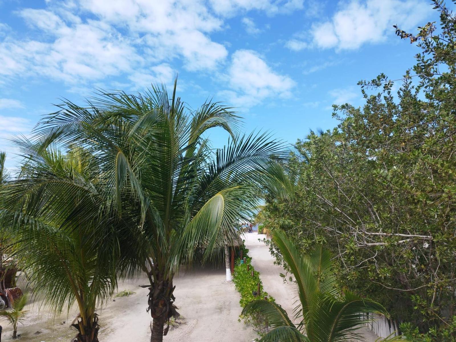 Hotelito Crismi Isla Holbox ภายนอก รูปภาพ